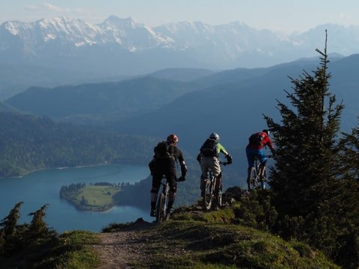 schwinn high timber mountain bike review